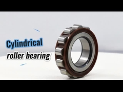 61243YSX Cylindryczny Rolnik Nylon Cage Excentric Bearing Koyo 61243 YSX dla skrzyni biegów 22*58*32 mm