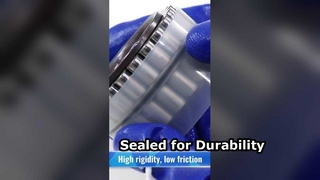 CPM2518 Dwurzędowe łożysko walcowe bez pierścienia zewnętrznego | Łożyska samochodowe i przemysłowe