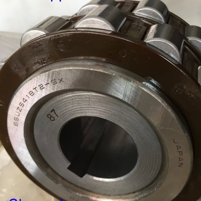 65UZS418T2X-SX-87 Cylindryczne łożyska rolkowe z korytarzem 65UZS418 łożyska ekscentryczne z klatką nylonową