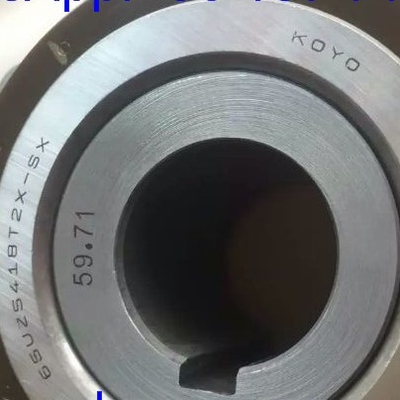 65UZS418T2X-SX-87 Cylindryczne łożyska rolkowe z korytarzem 65UZS418 łożyska ekscentryczne z klatką nylonową