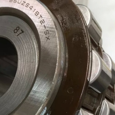 65UZS418T2X-SX-87 Cylindryczne łożyska rolkowe z korytarzem 65UZS418 łożyska ekscentryczne z klatką nylonową