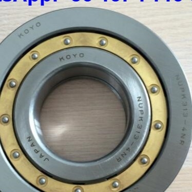 NUP313-4N łożyska cylindryczne NUPK313-4NRS02C3
