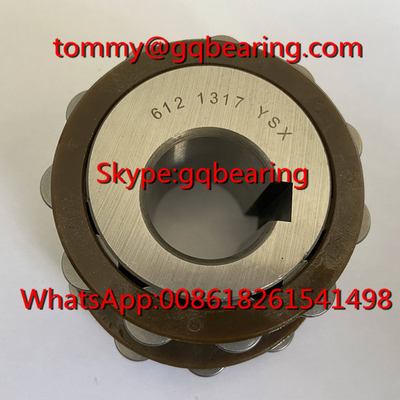 Koyo 612 1317 YSX Nylon Cage Roller Bearing 6121317YSX Excentric Bearing